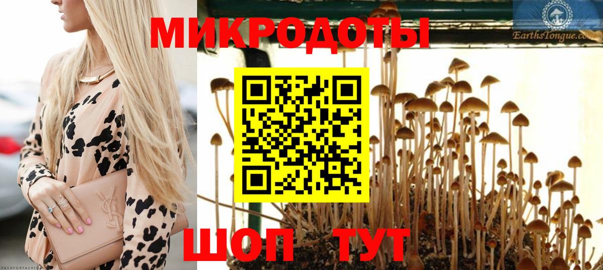 Галлюциногенные грибы Psilocybine cubensis  Вход с VPN  Озёрск 